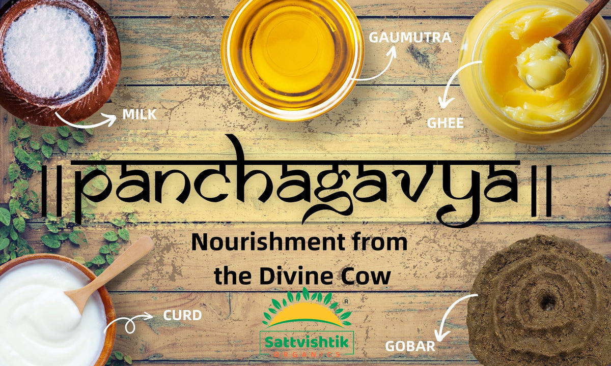 PANCHGAVYA