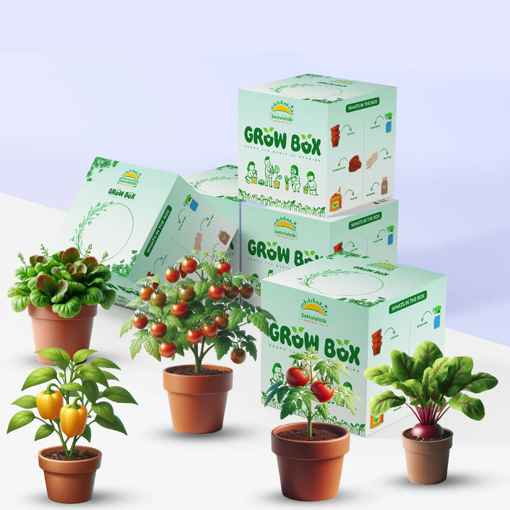 Indoor Gardening for Beginners A Complete Guide to Using Grow Boxes