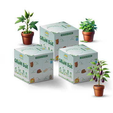 Why Sattvishtik’s Grow Box is Perfect for Growing Nutritious Microgreens at Home All Year Round