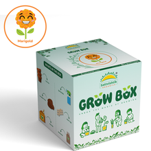 DIY Grow Kit - sattvishtik