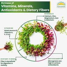 Energizing Veggie Combo - sattvishtik