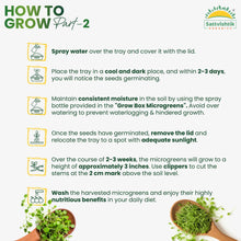 Energizing Veggie Combo - sattvishtik