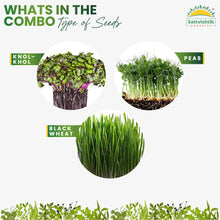 Nutrient Power Combo - sattvishtik