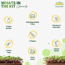 Protein Power Combo - sattvishtik