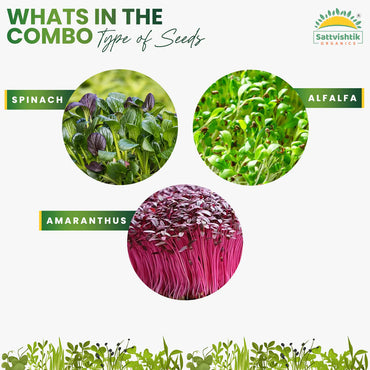 Sattvishtik's Green Haven Elevate Your Microgreen Experience with Our Unveiled Elements