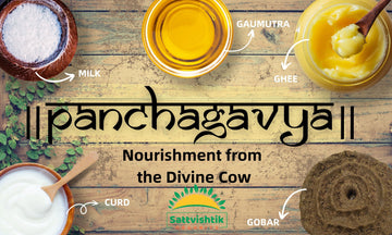 PANCHGAVYA