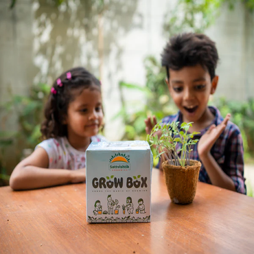 How Can Sattvishtik's Grow Box Kit Transform Your Indoor Garden?