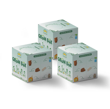 How Does the Sattvishtik Grow Box Benefit Your Indoor Plants?