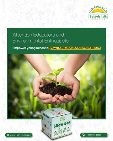 Plant Grow Kits