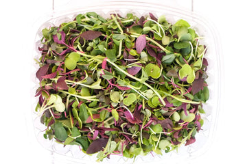 The Future of Farming: Why Microgreens Are Leading the Way in Sustainable Agriculture