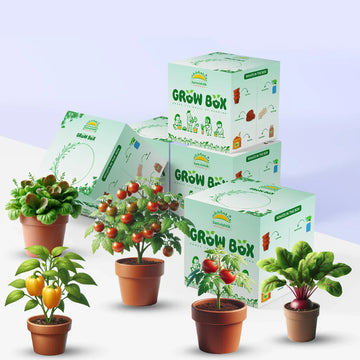 Indoor Gardening for Beginners A Complete Guide to Using Grow Boxes
