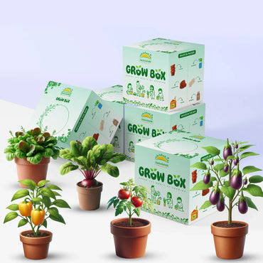 DIY Plant Grow Kit