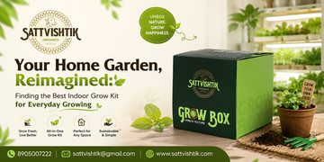 Your Home Garden, Reimagined: Finding the Best Indoor Grow Kit for Everyday Growing