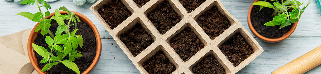 DIY Grow Kits - sattvishtik