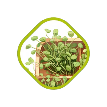 DIY Grow Kits - sattvishtik