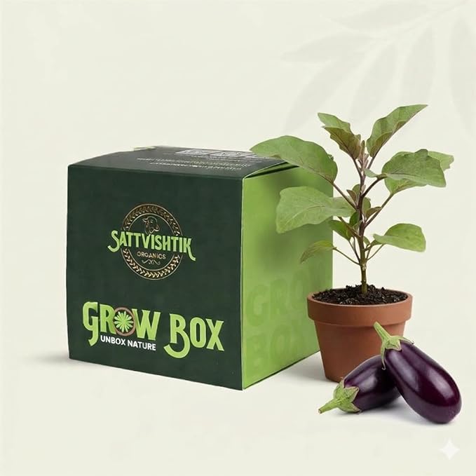 DIY Grow Kit