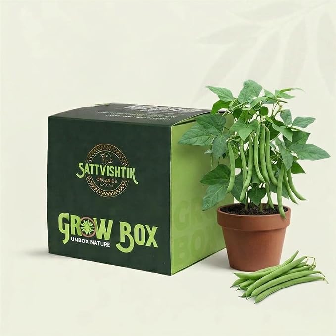 DIY Grow Kit