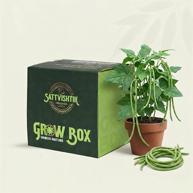 DIY Grow Kit