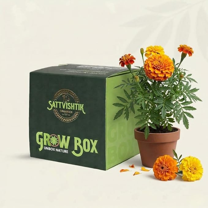 DIY Grow Kit