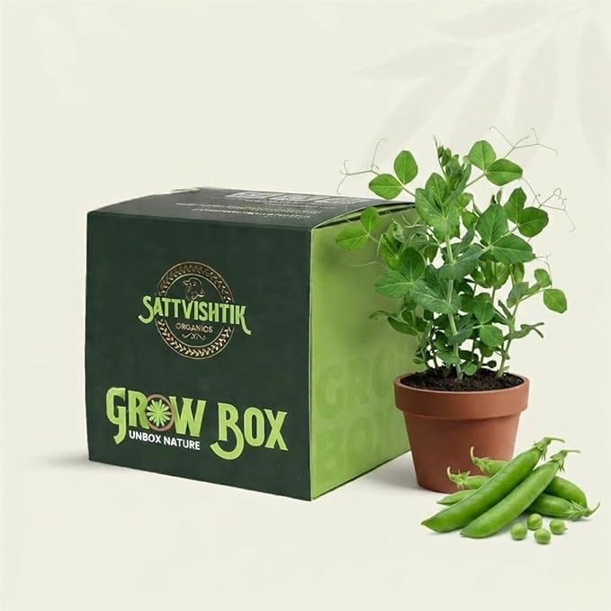 DIY Grow Kit