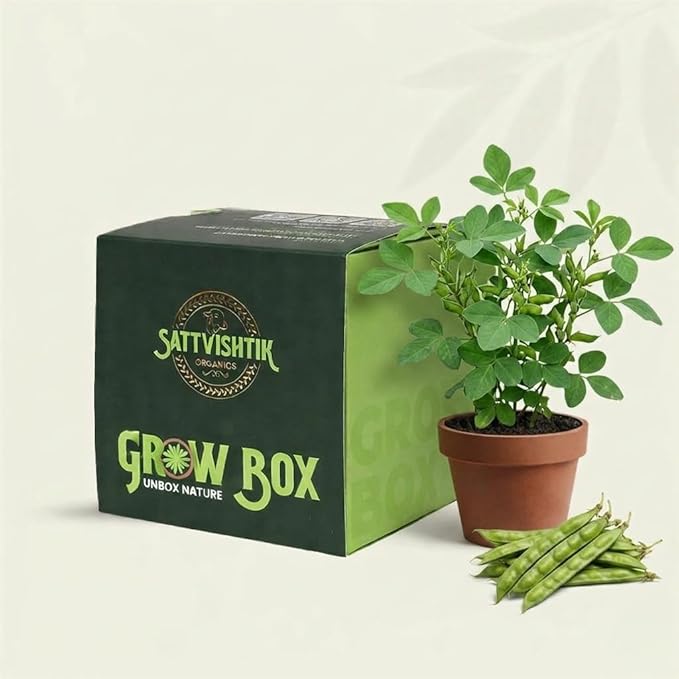 DIY Grow Kit