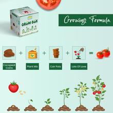 DIY Grow Kit - sattvishtik