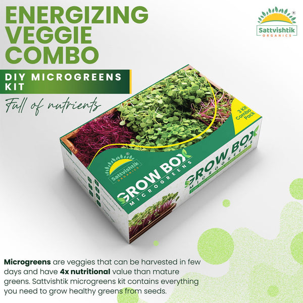 Energizing Veggie Combo - sattvishtik