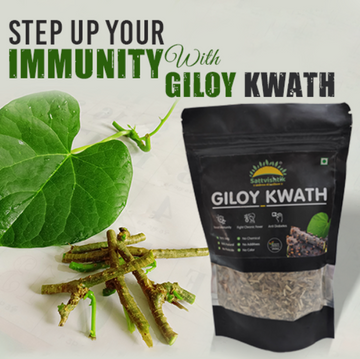 Giloy Kwath - sattvishtik