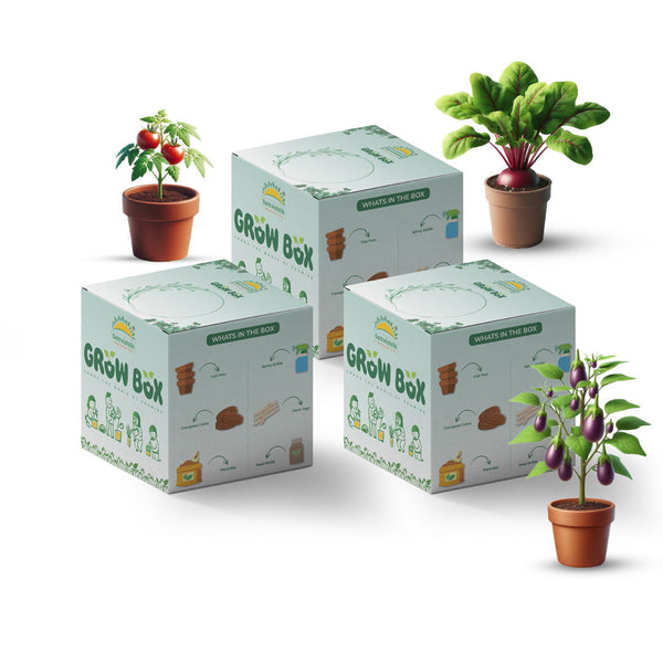 PACK OF 3 :  Beetroot , Brinjal , Tomato [Fiber Fiesta] - sattvishtik