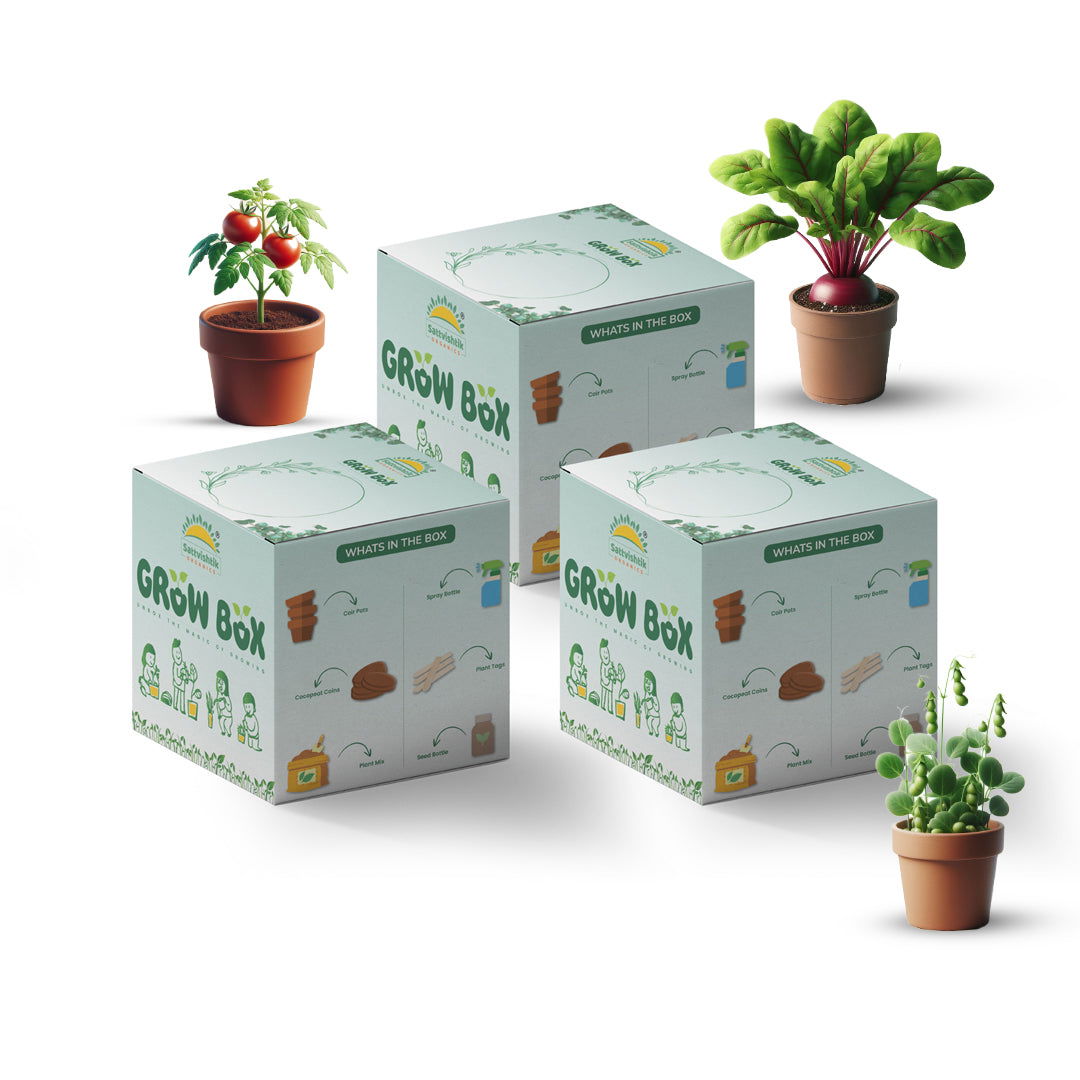 PACK OF 3 : Tomato , Peas , Beetroot [Vitamin Veggie Blend] - sattvishtik
