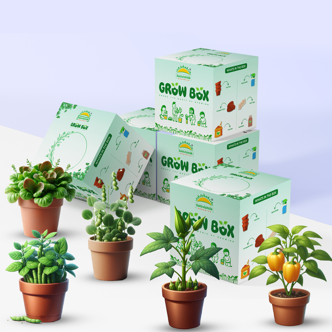 PACK OF 5 : Lettuce, Beans, Peas, Lady Finger, Capsicum [Green Delight] - sattvishtik