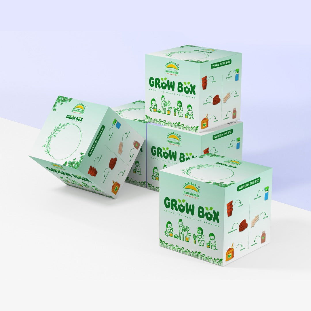 PACK OF 5 : Lettuce, Beans, Peas, Lady Finger, Capsicum [Green Delight] - sattvishtik