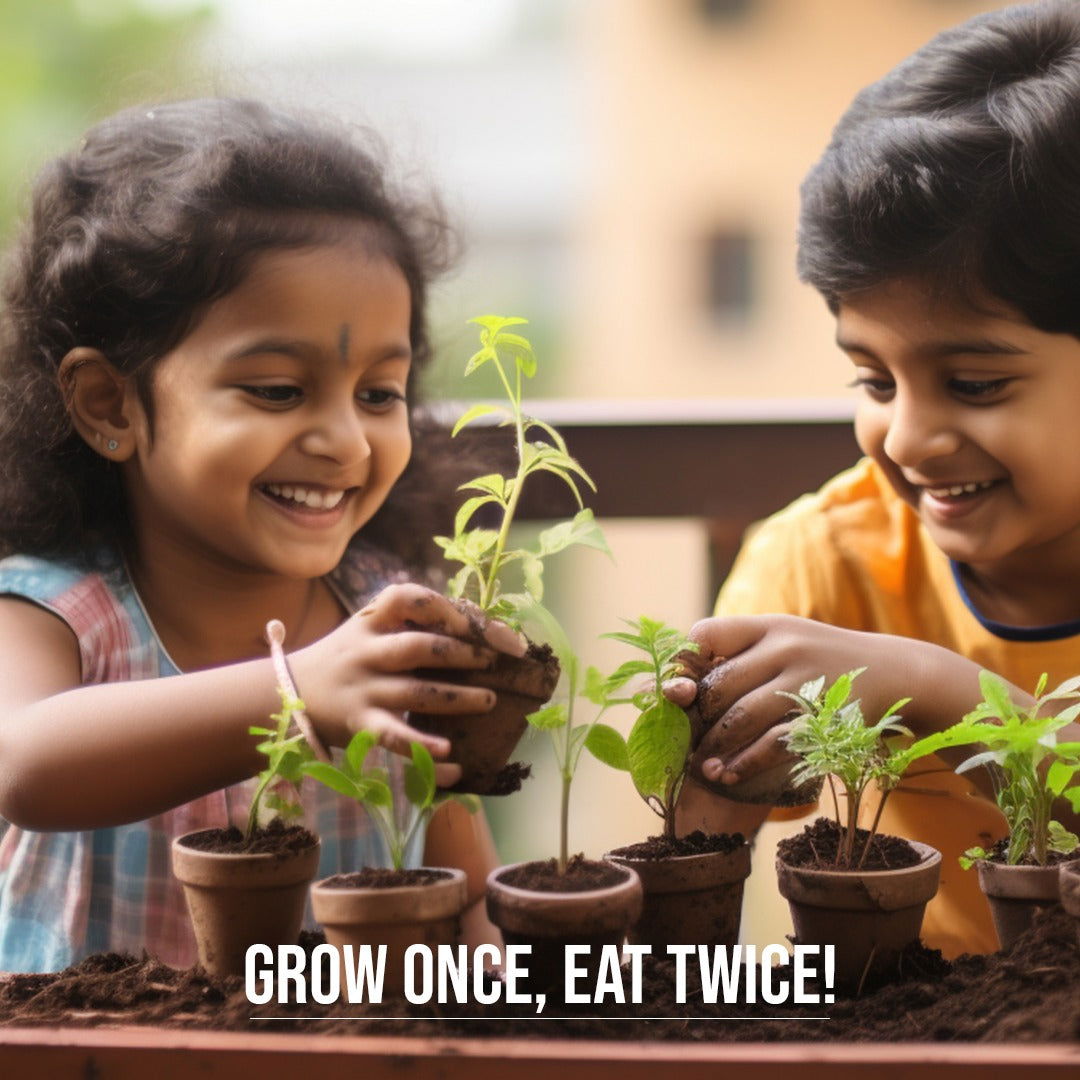 PACK OF 5 : Lettuce, Beans, Peas, Lady Finger, Capsicum [Green Delight] - sattvishtik