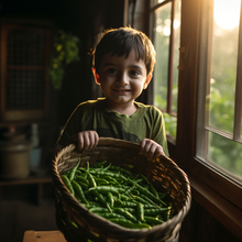 PACK OF 5 : Lettuce, Beans, Peas, Lady Finger, Capsicum [Green Delight] - sattvishtik