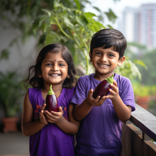 PACK OF 5 : Tomato , Brinjal , lettuce , Beetroot , Capsicum. [Rainbow Veggie Fusion] - sattvishtik