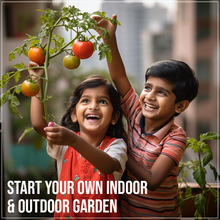 PACK OF 5 : Tomato , lettuce , Capsicum , Cherry Tomato , Beetroot. [Mega Salad Combo] - sattvishtik
