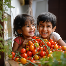 PACK OF 5 : Tomato , lettuce , Capsicum , Cherry Tomato , Beetroot. [Mega Salad Combo] - sattvishtik