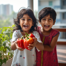 PACK OF 5 : Tomato , lettuce , Capsicum , Cherry Tomato , Beetroot. [Mega Salad Combo] - sattvishtik