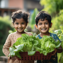 PACK OF 5 : Tomato , lettuce , Capsicum , Cherry Tomato , Beetroot. [Mega Salad Combo] - sattvishtik