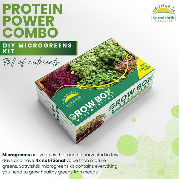 Protein Power Combo - sattvishtik